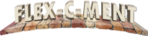 flex-c-ment logo